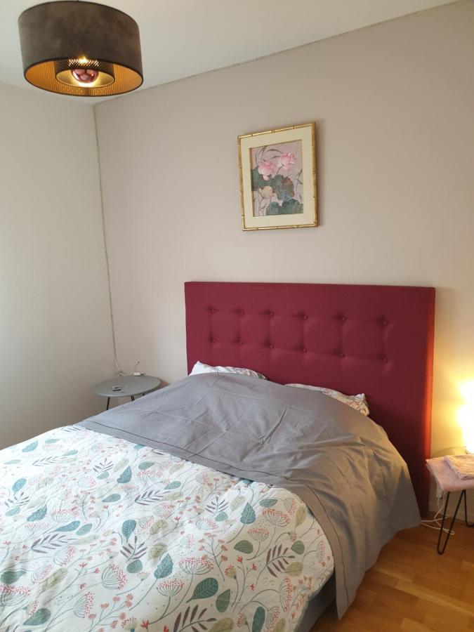 סן-דני Spacieux Et Calme, Style Parisien, Toutes Commodites, Ideal Pour Un Sejour Authentique מראה חיצוני תמונה